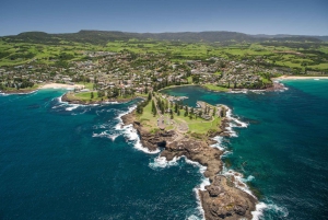 Sydney: Jervis Bay Dolphin Cruise and Kiama Blowhole Tour