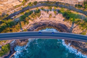 Sydney: Jervis Bay Dolphin Cruise and Kiama Blowhole Tour