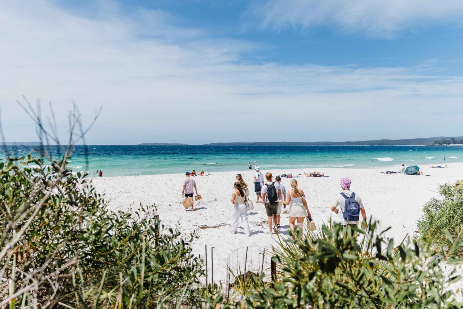Sydney: Jervis Bay-tour met stranden, koala's en kangoeroes