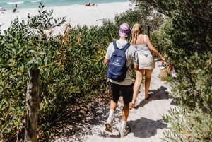 Sydney: Jervis Bay-tour met stranden, koala's en kangoeroes