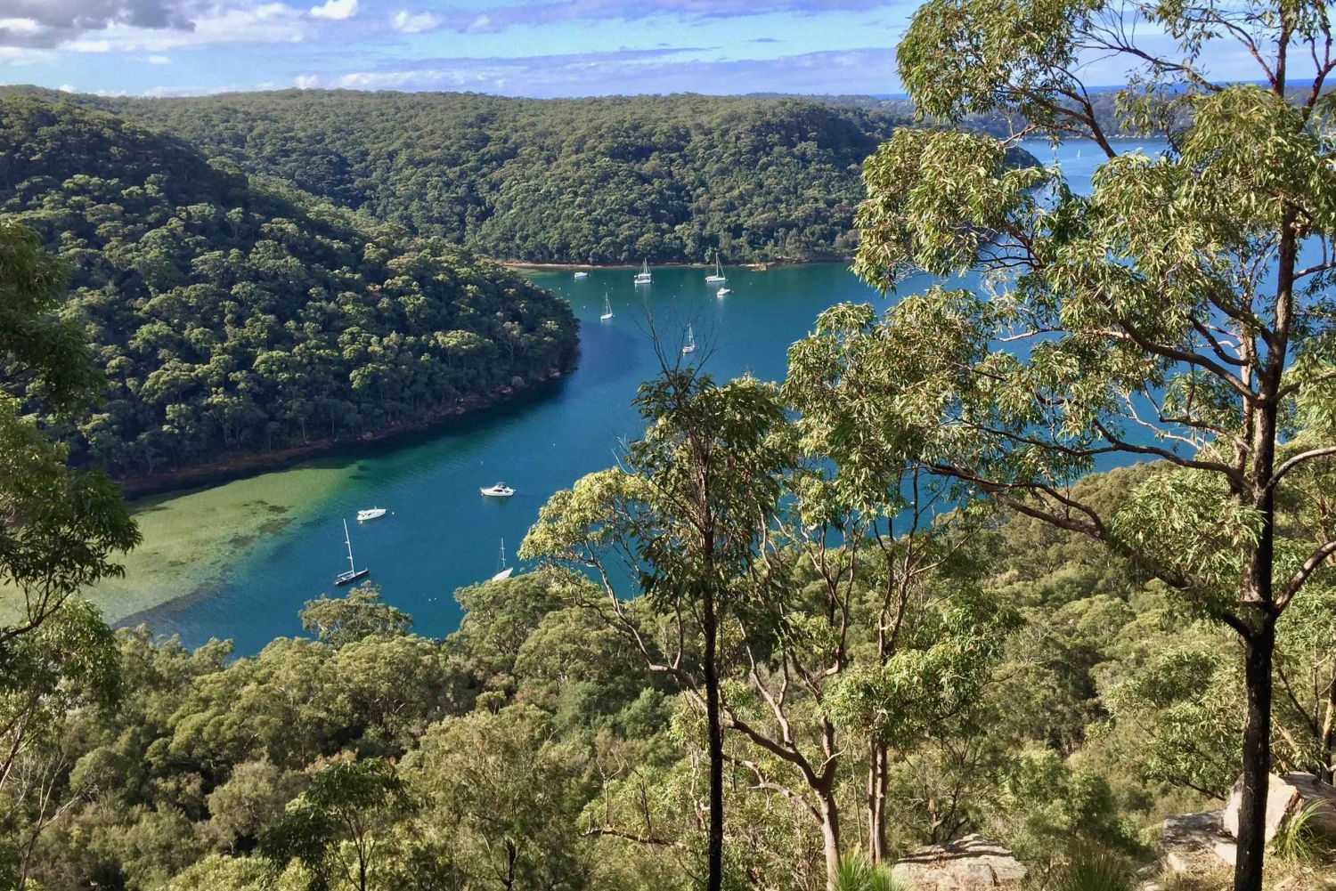 シドニーシュノーケリングギア付きジェットスキーレンタル