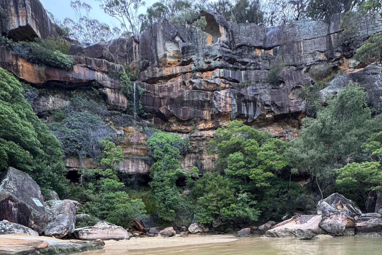 シドニーシュノーケリングギア付きジェットスキーレンタル