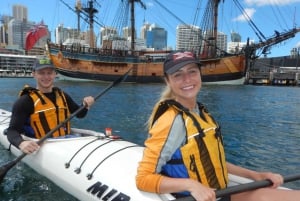 Sydney: Raggiungi in kayak l'isola delle capre nel cuore del porto di Sydney