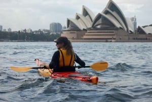 Sydney: Raggiungi in kayak l'isola delle capre nel cuore del porto di Sydney