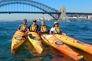 Sidney En kayak a la Isla de las Cabras, en el corazón del puerto de Sídney