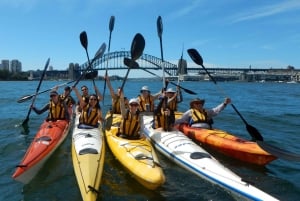 Sydney: Kajak naar Goat Island in het hart van Sydney Harbour