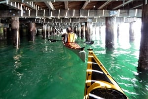 Sydney: Kajakkpadling til Goat Island i hjertet av Sydney havn