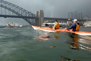 Sydney: Kayak to Goat Island At The Heart of Sydney Harbour