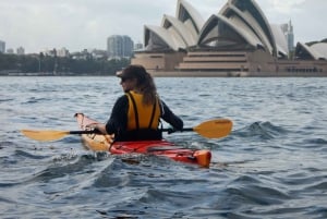 Sydney: Mit dem Kajak zur Goat Island im Herzen des Hafens von Sydney
