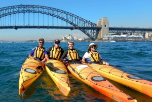 Sydney: Mit dem Kajak zur Goat Island im Herzen des Hafens von Sydney