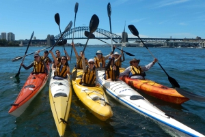 Sydney: Mit dem Kajak zur Goat Island im Herzen des Hafens von Sydney