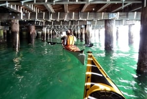 Sydney: Mit dem Kajak zur Goat Island im Herzen des Hafens von Sydney