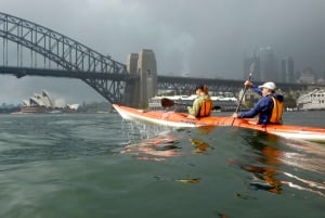 Sydney: Mit dem Kajak zur Goat Island im Herzen des Hafens von Sydney
