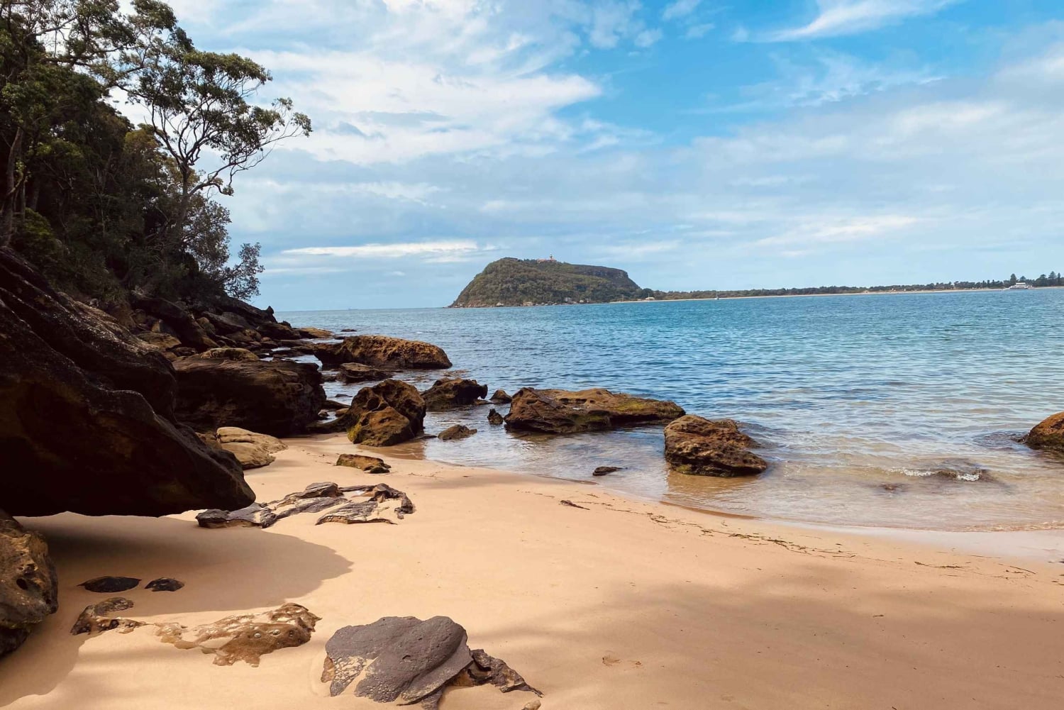 Sydney: Ku-ring-gain kansallispuiston vaellus, uiminen ja piknik