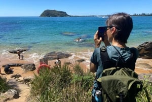 Sydney: Ku-ring-gain kansallispuiston vaellus, uiminen ja piknik