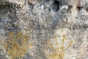 Sydney: Ku-ring-gain kansallispuiston vaellus, uiminen ja piknik