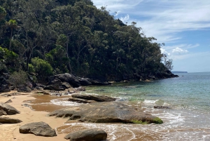 Sydney: Ku-ring-gain kansallispuiston vaellus, uiminen ja piknik