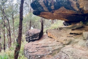 Sydney: Ku-ring-gain kansallispuiston vaellus, uiminen ja piknik