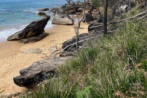 Sydney: Ku-ring-gain kansallispuiston vaellus, uiminen ja piknik