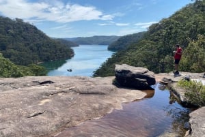 Sydney: Ku-ring-gain kansallispuiston vaellus, uiminen ja piknik