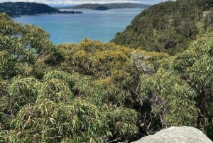 Sydney : parc national de Ku-ring-gai avec pique-nique, randonnée et baignade
