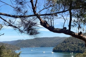 Sydney : parc national de Ku-ring-gai avec pique-nique, randonnée et baignade