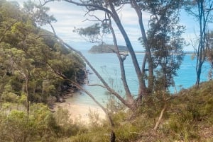 Sydney : parc national de Ku-ring-gai avec randonnée, plage et collation