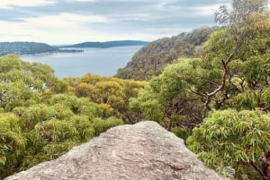 Sydney : parc national de Ku-ring-gai avec randonnée, plage et collation