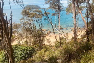 Sydney : parc national de Ku-ring-gai avec randonnée, plage et collation