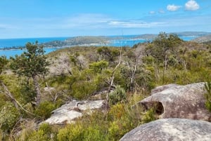 Sydney : parc national de Ku-ring-gai avec randonnée, plage et collation