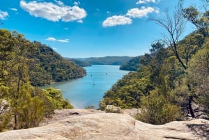 Sydney : parc national de Ku-ring-gai avec randonnée, plage et collation
