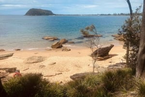 Sydney : parc national de Ku-ring-gai avec randonnée, plage et collation