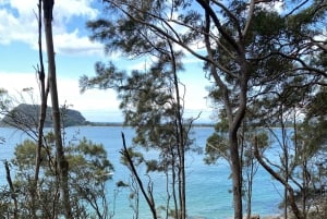 Sydney : parc national de Ku-ring-gai avec pique-nique, randonnée et baignade