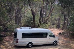 Sydney: Luxury Blue Mountains Adventure with Wentworth Falls