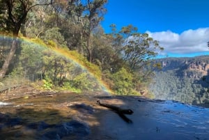 Sydney: Luxury Blue Mountains Adventure with Wentworth Falls