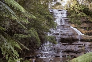 Sydney: Luxury Blue Mountains Adventure with Wentworth Falls