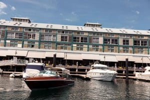 Sydney: Crucero de lujo con comida o cena en Chinadoll