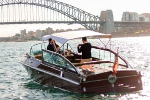 Sydney: Luxury Cruise with Lunch or Dinner at Chinadoll
