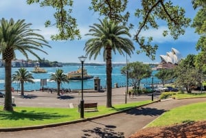 Sydney: Excursão privada de meio dia com destaques de luxo