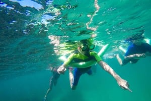 Sydney: Snorklingstur till Manly och Shelly Beach