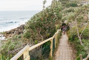 Sydney: Manly ja Shelly Beach Snorkeling Tour