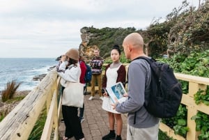 Sydney: Manly en Shelly Beach snorkeltour