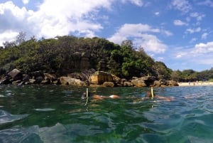 Sydney: Snorkeltur i Manly og Shelly Beach