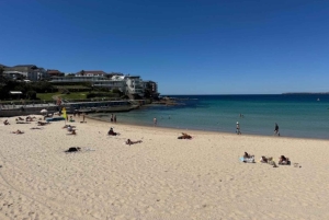 Sydney: Morning Highlights Tour with Breakfast