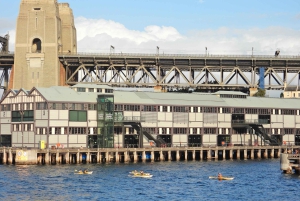 Sydney: Morning or Afternoon Harbour Sightseeing Cruise