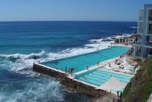 Sydney: Morning Sightseeing Bus to Bondi with Lunch Cruise