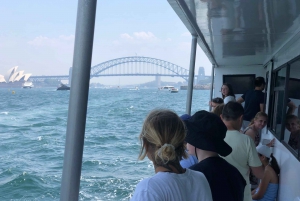 Sydney: Sightseeingbus til Bondi om morgenen med frokostkrydstogt