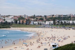 Sydney: Morning Sightseeing Bus to Bondi with Lunch Cruise