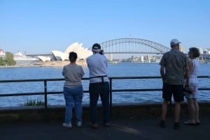 Sydney: Morning Sightseeing Bus to Bondi with Lunch Cruise