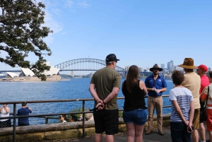 Sídney: Autobús turístico por la mañana a Bondi con almuerzo en crucero
